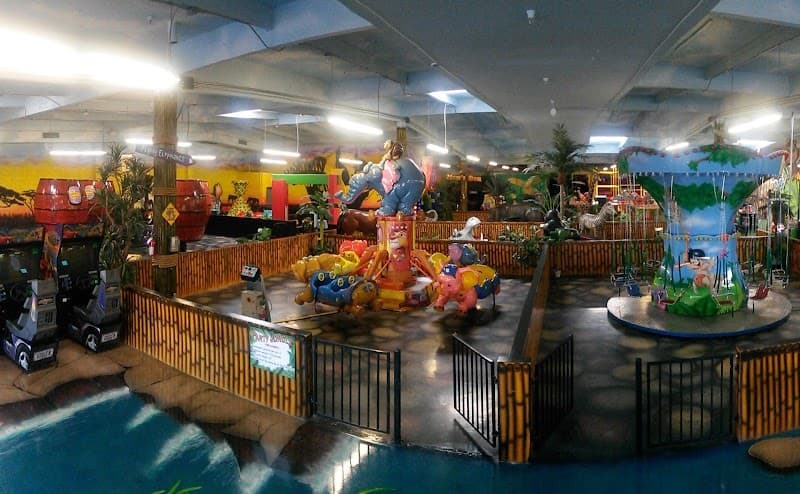 Party Jungle