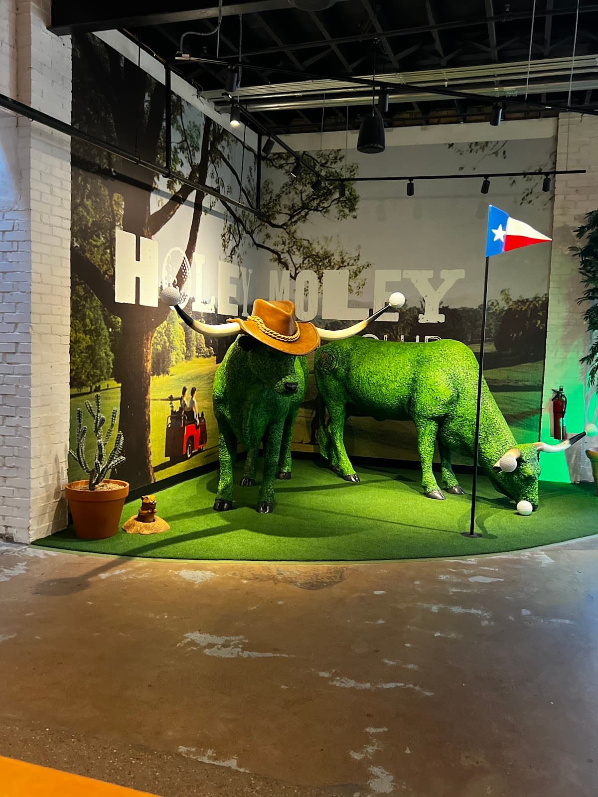 Holey Moley Golf Club Austin