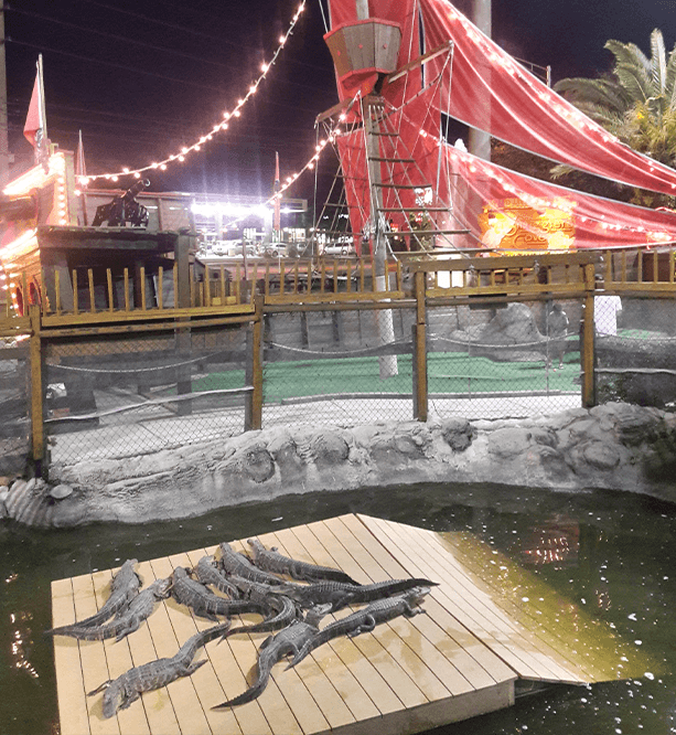 Smugglers Cove Adventure Golf