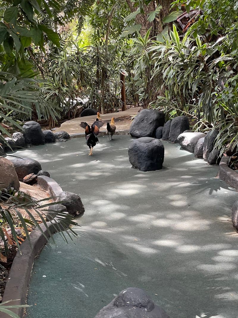 Tropics Mini Golf