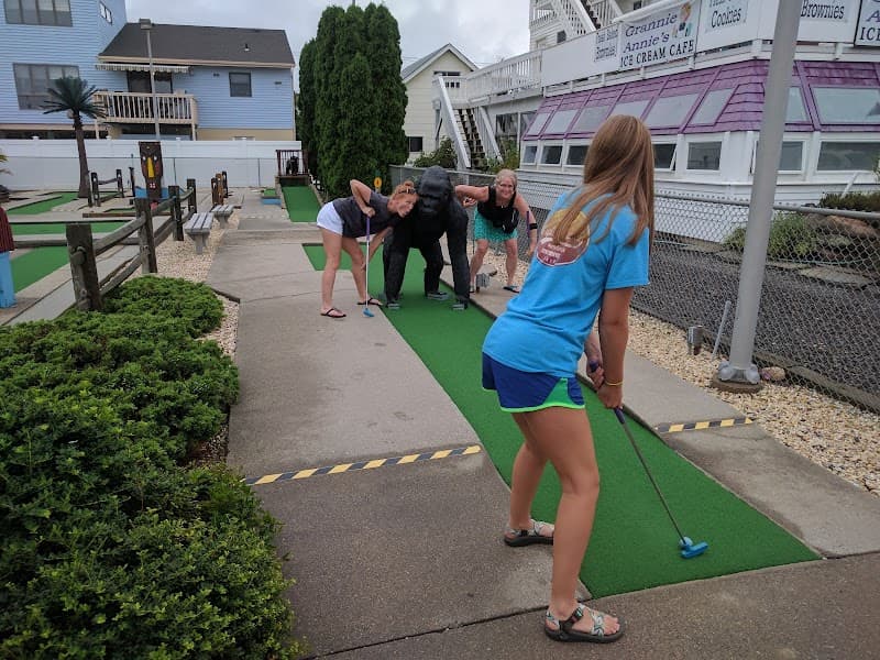 Island Mini Golf