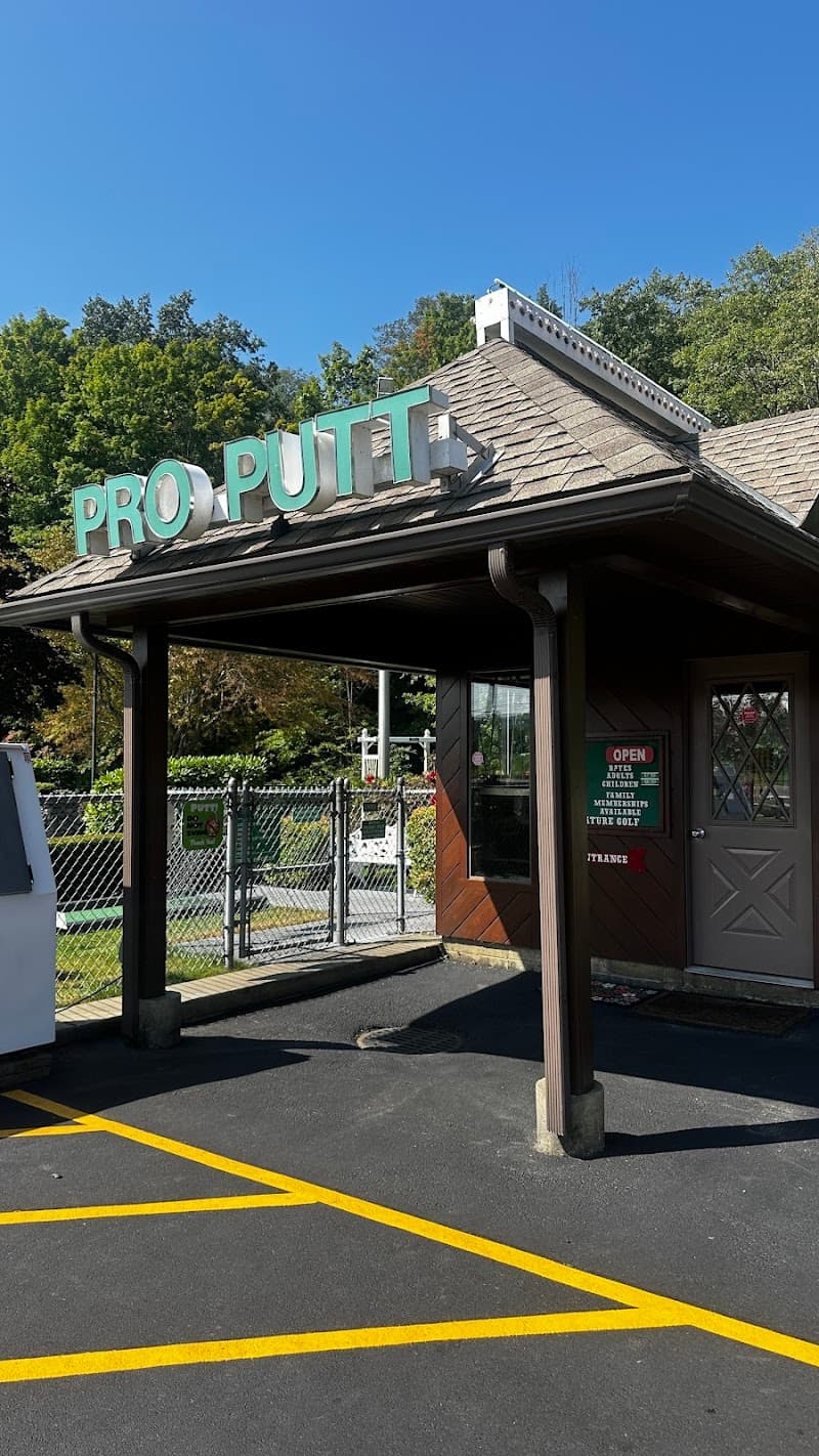 Pro Putt Mini Golf