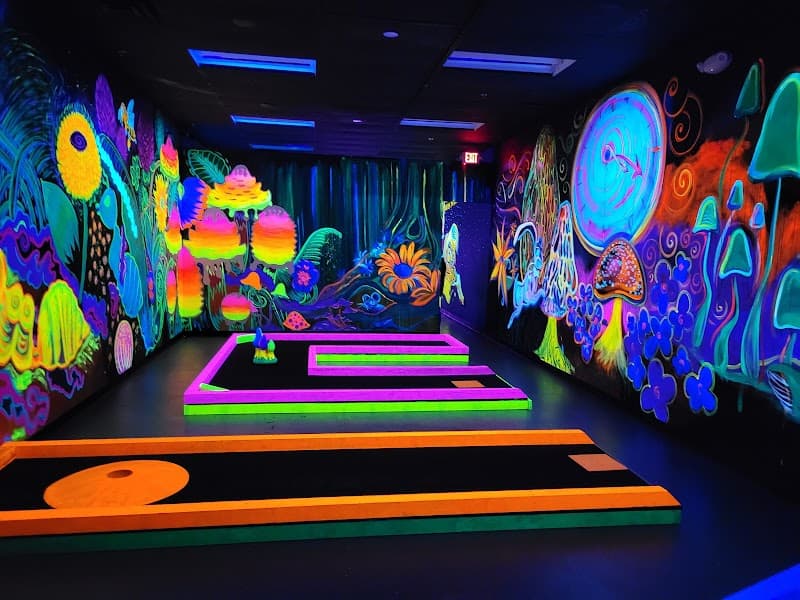 Glow In The Park Indoor Mini Golf & Pinball Arcade